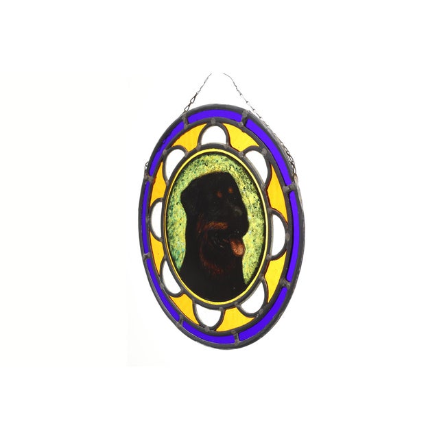 A characterful Belgian Art Deco stained‑glass roundel from around 1900, featuring a vivid portrait of a Rottweiler...