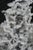 Silver Vintage Cast Aluminum Anthill Fire Ant Art Sculpture Taxidermy Statue 10" For Sale - Image 8 of 9