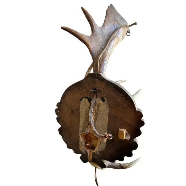 1940s Antler Wall Sconce For Sale - Image 4 of 4