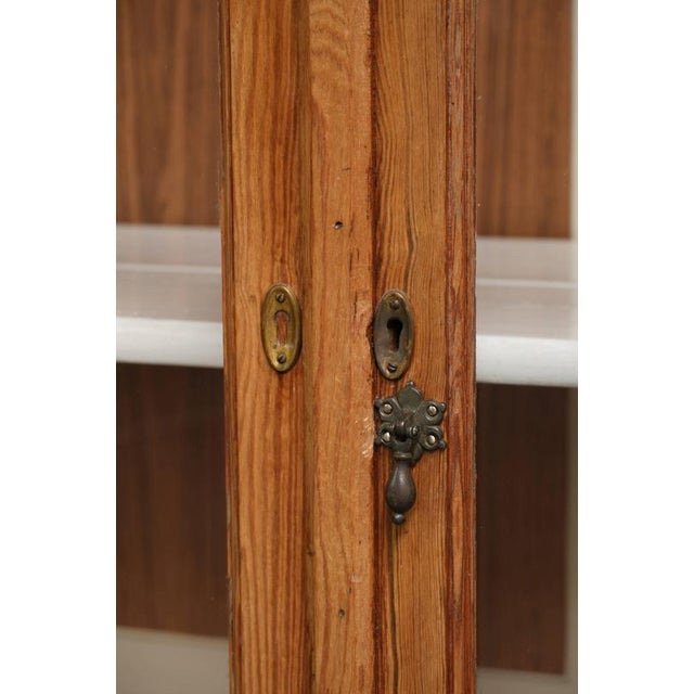 Vintage Museum Cabinet with Doors and Removable Shelves For Sale - Image 12 of 16
