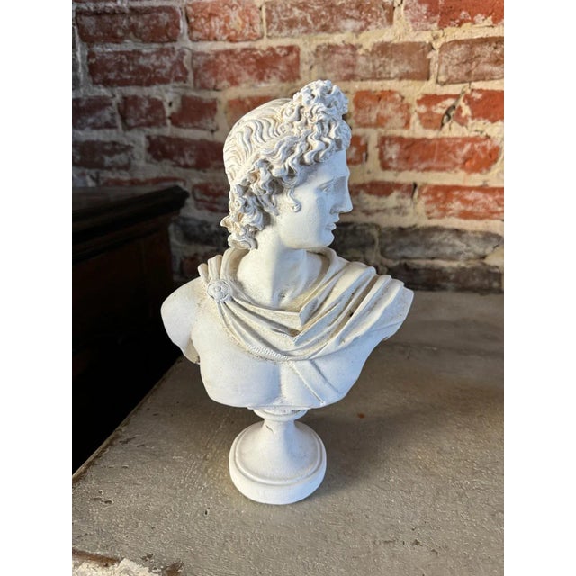 Classical Plaster Bust of Apollo Belvedere | Italian Mythological Sculpture For Sale - Image 4 of 6