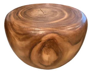 Andrianna Shamaris Drum Shape Suar Wood Coffee Table