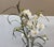 Silk Flower Arrangement of Orchids in Vase For Sale - Image 12 of 12
