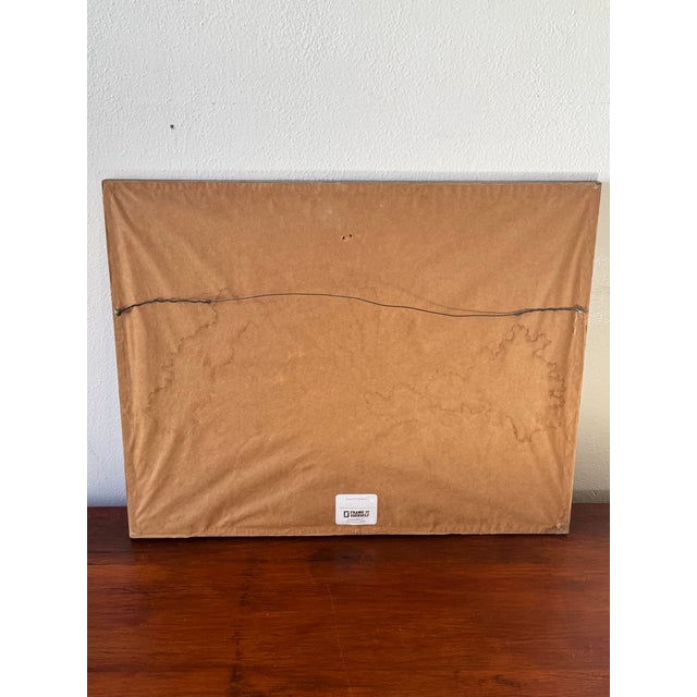 Antique Hand-Tinted Engraving | Ottoman Dance Scene by F. Raineri | Framed Orientalist Art Print For Sale - Image 12 of 12