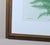 Henry Bradbury Nature-Printed Fern Botanical Prints, Set of Four, Framed For Sale - Image 4 of 18