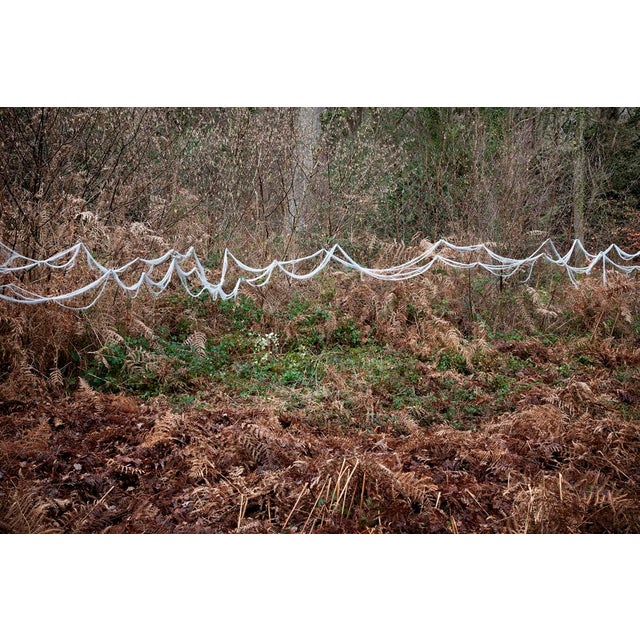 Knit One Pearl One 8 is a Digital C-Type Print on Fuji Maxima Matte paper, available in this size from a Limited Edition...