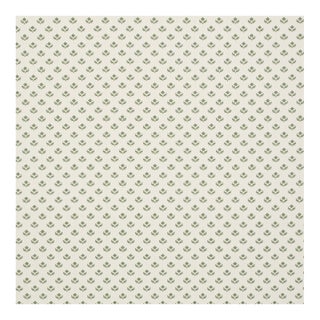 Schumacher Robyn Fabric in Green For Sale