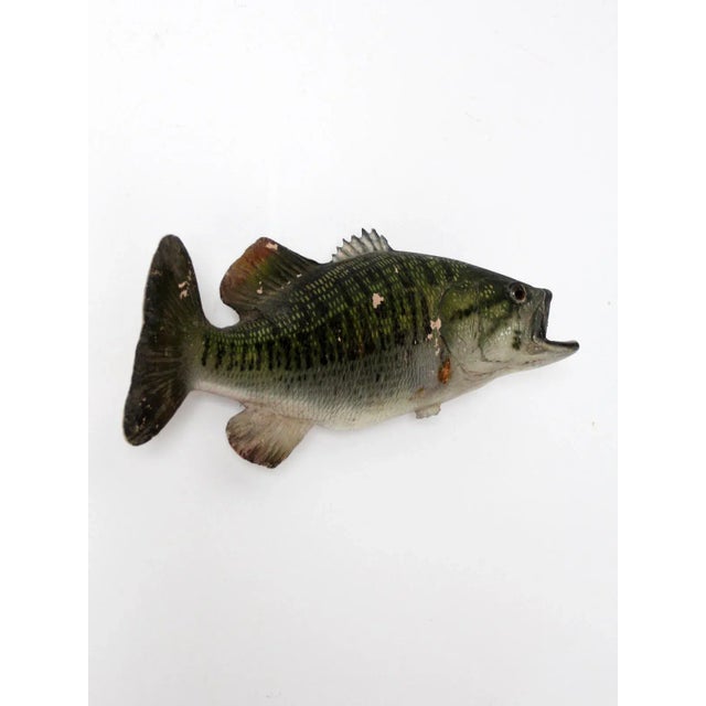 Vintage Bass Fish Wall Mount For Sale - Image 6 of 9