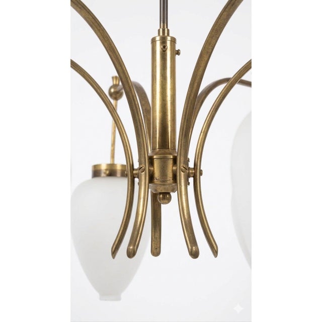 Mid-Century Modern 1950s Stilnovo Elegant Five-Arm Brass Chandelier With Frosted Glass Drops For Sale - Image 3 of 7