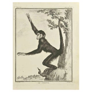 A-J De Fehrt, Le Coita, Etching, 1771 For Sale