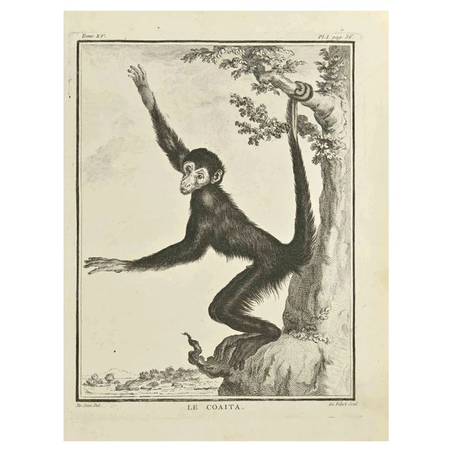 A-J De Fehrt, Le Coita, Etching, 1771 For Sale