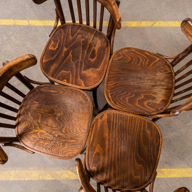 Vintage Bistro Dining Chairs in Dark Oak Bentwood, 1950s, Set of 6 For Sale - Image 9 of 10