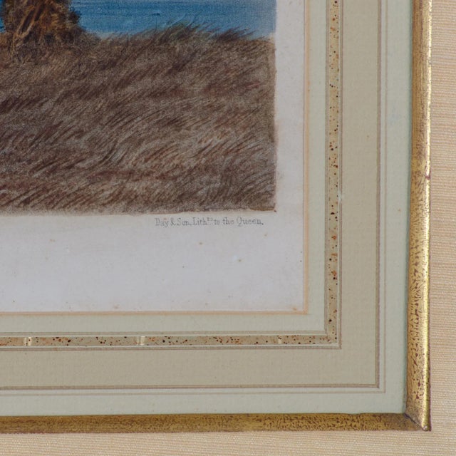 John Le Capelain Jersey Lithographs, C.1847 - a Pair For Sale - Image 10 of 12