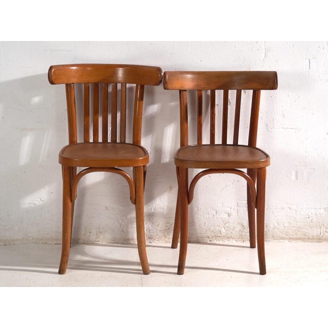 Bentwood Chairs in the style of Thonet, Central Europe, 1930, Set of 4 For Sale - Image 9 of 12