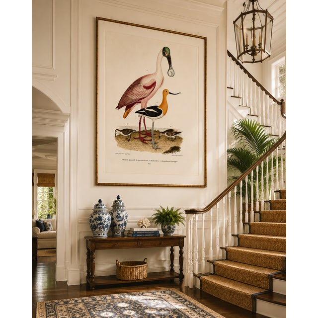 Paper Roseate Spoonbill & Shorebirds, Vintage Natural History Art Print Reproduction, 40" X 60" For Sale - Image 7 of 10