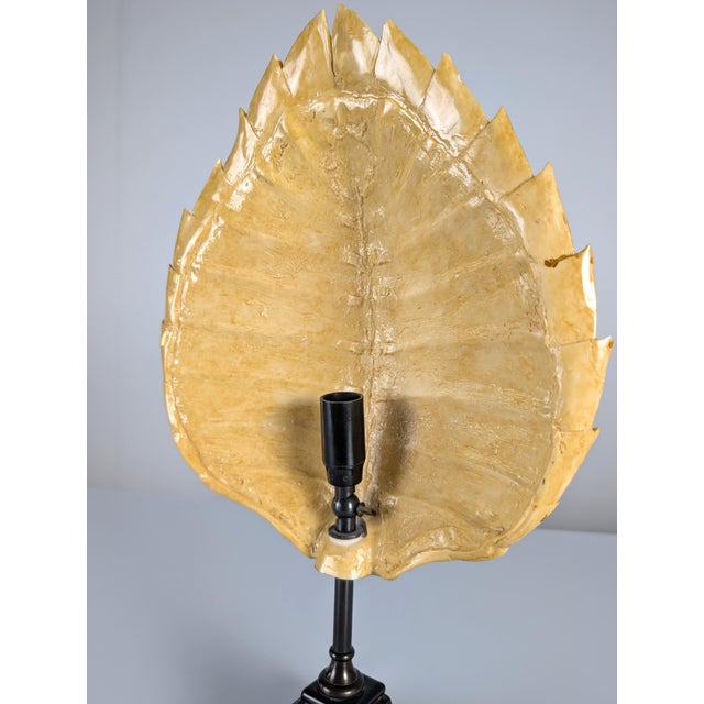 Plastic Faux Tortoiseshell Resin Turtle Shell Lamp from Maison Jansen, 1970s For Sale - Image 7 of 16