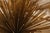 Curtis Jeré Mid Century Modern Urchin Wall Sculpture For Sale - Image 12 of 18