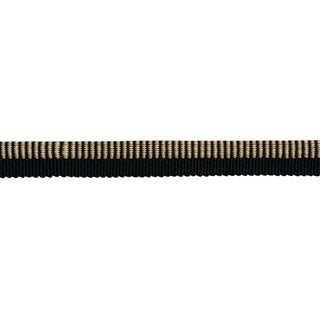 Schumacher Seville Ribbed Cord Trim In Black For Sale