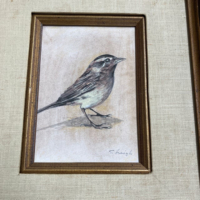 Original 5 x 7 drawing heightened with paint on illustration board signed bottom right overall size with frame is...