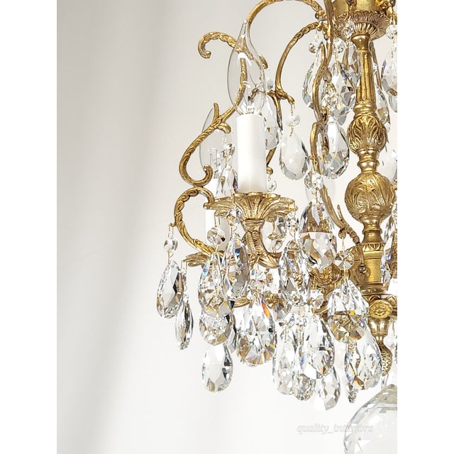Shabby Chic Antique Super Fussy Birdcage Gleaming Brass Cut Lead Glass Crystal Chandelier ~ Rewired ~ Restored ~ Rejuvenated ~ Ready to Hang ~ For Sale - Image 3 of 12