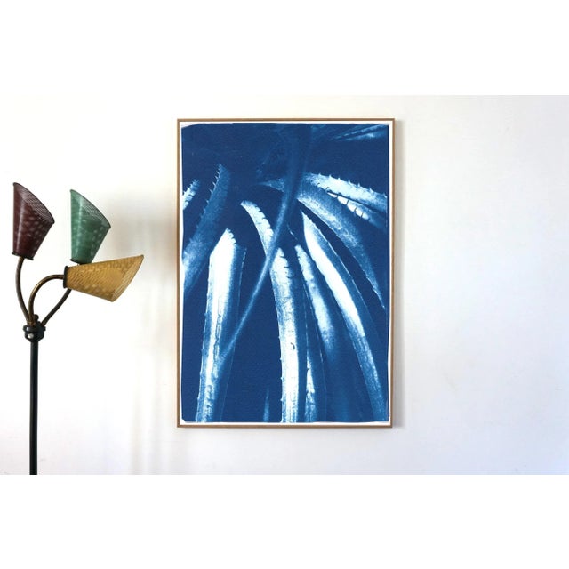 Contemporary 2021 "Jurassic Aloe Leaves" Contemporary Cyanotype on Watercolor Paper For Sale - Image 3 of 10