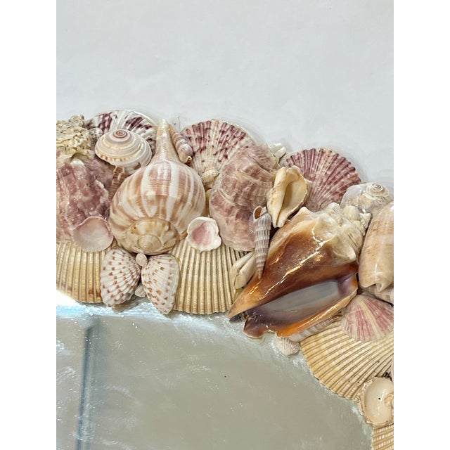 White Vintage Coastal Oval Shell Encrusted Mirror For Sale - Image 8 of 14