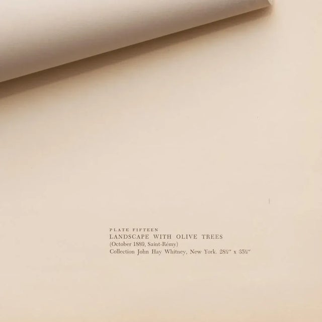 1950s 1954 After Vincent Van Gogh, "Landscape With Olive Trees" First Edition Print For Sale - Image 5 of 8