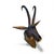 Black Forest wood carved goat head. 22" x 12.5" x 9"