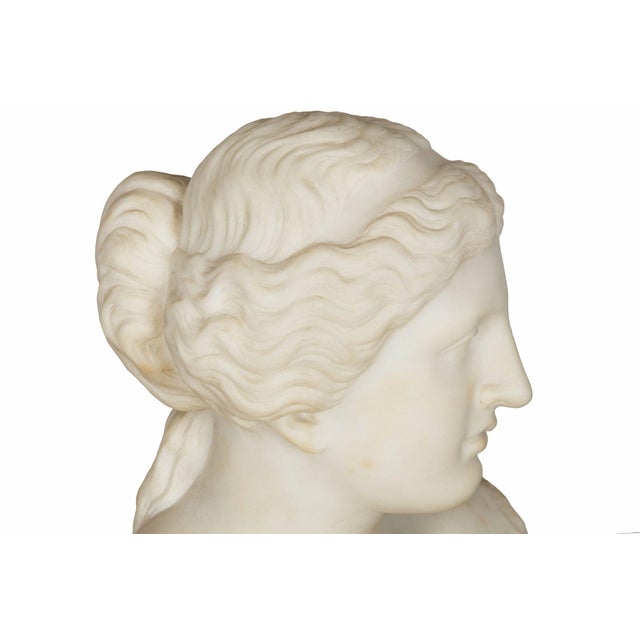 Grand Tour Marble Sculpture Statue Bust of Venus De Milo After the Antique For Sale - Image 15 of 15