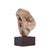 Stone Mario DeNoto Style Balancing Fossil Sculpture For Sale - Image 7 of 9
