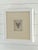 Framed Megladon Tooth For Sale - Image 4 of 4