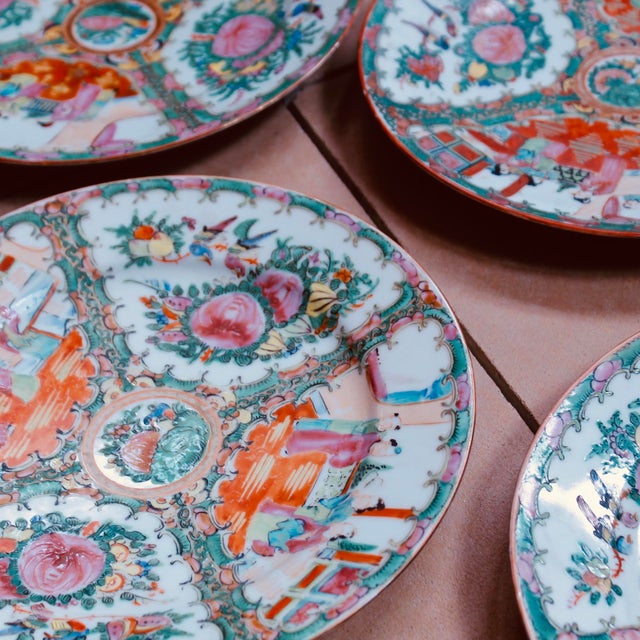 Antique Rose Medallion Dinner Plates- Set of 10 For Sale - Image 4 of 12
