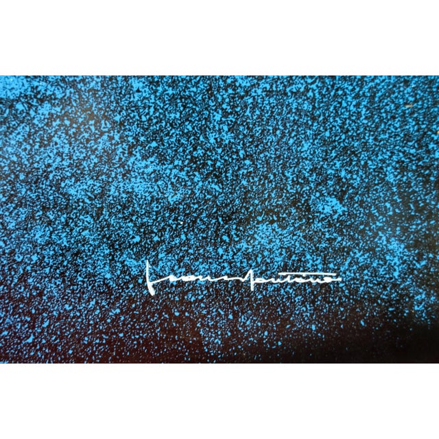 Vintage Italian Natura Print by Franco Fontana for AMAR collezioni Milano, 1976 For Sale - Image 4 of 8