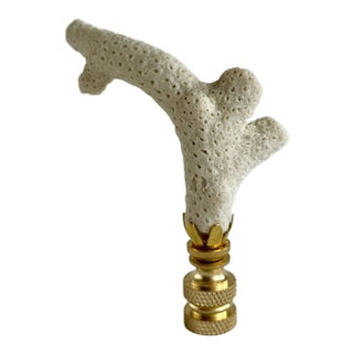 Coral Fragment Lamp Finial on Brass Hardware For Sale