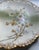 1900s Limoges Hand Painted Floral Porcelain Plates - a Pair For Sale - Image 11 of 18