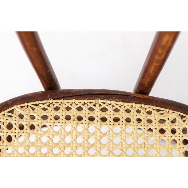 Antique Austrian Bentwood Chair in Rattan in the Style of Thonet No. 56, 1930s For Sale - Image 10 of 14