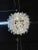 Modern Spiraled Clear & White Murano Glass Chandeliers For Sale In Dallas - Image 6 of 8