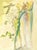 Abstract 1963 Dalí Divine Comedy Engraving Paradis Chant 15 "L'Apparition De l'Arrière-Arrière-Grand-Père" (The Apparition of the Great-Great-Grandfather) For Sale - Image 3 of 9