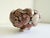 Mid 20th Century Vintage Seashell Encrusted Terra Cotta Plant Pot For Sale - Image 5 of 8