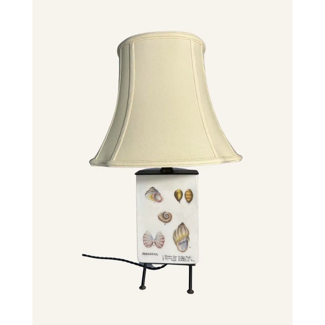 Vintage Mid-Century Modern Box Lamp With 19th Century Style Sea Shell Illustration Decoration For Sale - Image 11 of 11