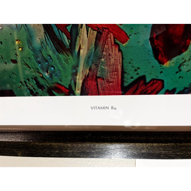 Abstract Scientific Photomicrography Prints by Jack Kath Set of 4 For Sale - Image 3 of 12