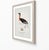 Boutique Archival William Lewin "Waterbirds & Waders" Prints - Set of 15 (8" X 10") For Sale - Image 14 of 18