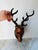 Brown 1960s Hanging Stag Head Leather Deer Head Wall Mounted Sculpture Wall Decor For Sale - Image 8 of 10