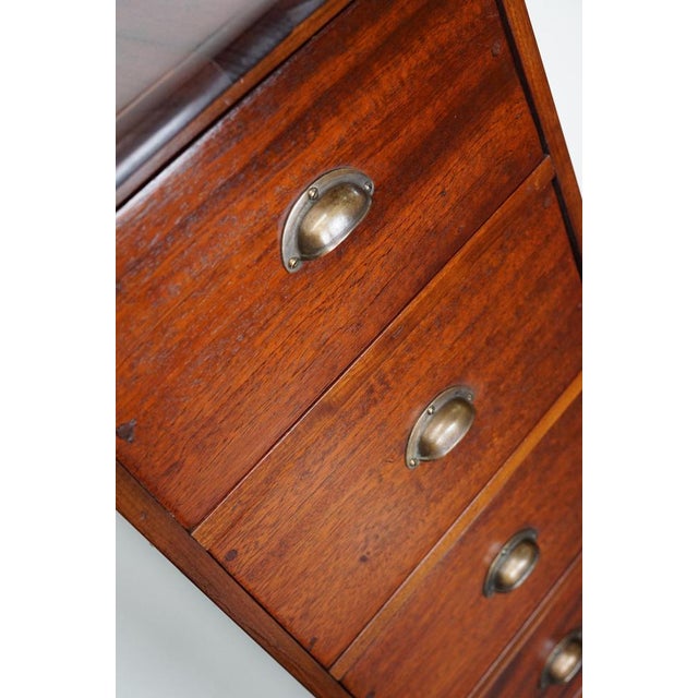 Mid-Century Dutch Industrial Mahogany Apothecary Cabinet For Sale - Image 6 of 17