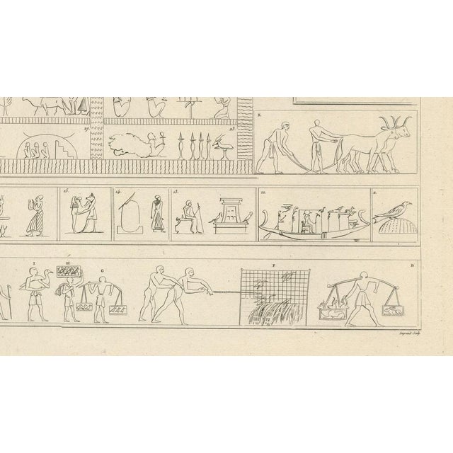 Early 19th Century Egyptian Processions and Daily Life Reliefs, 1802, Paper For Sale - Image 5 of 9
