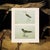1966 Vintage Cottage Print "Greenshank & Sabine's Gull" After John James Audubon For Sale In Dallas - Image 6 of 7