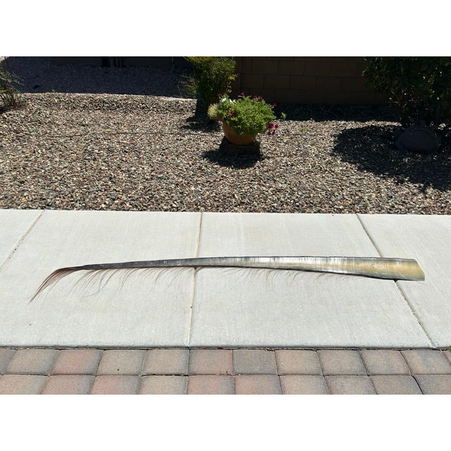 7 Foot 5" Wall Hanging - Scrimshaw Whale Baleen Frond - Mid Century For Sale - Image 16 of 16