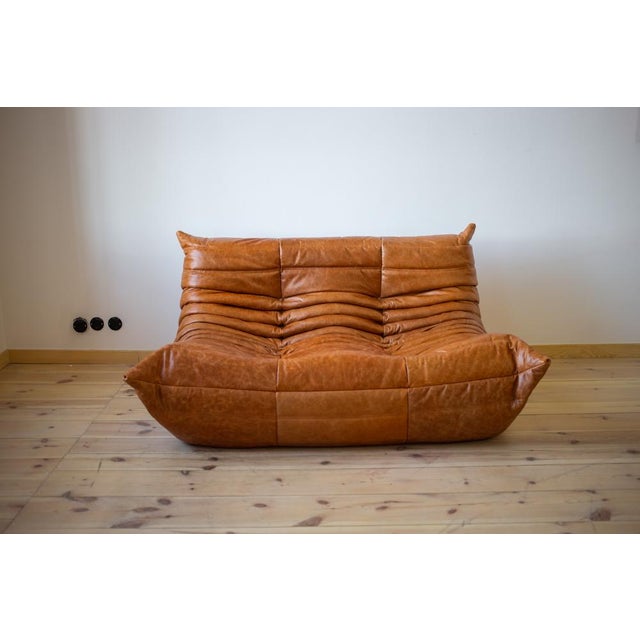 Pine Leather Togo 2-Seater Sofa by Michel Ducaroy for Ligne Roset For Sale - Image 5 of 5