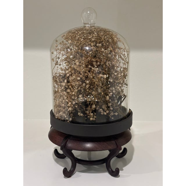 Cabinet of Curiosities Glass Cloche With Bird’s Nest Wrapped in Dried Gypsophila on Decorative Asian Wooden Stand For Sale - Image 4 of 15