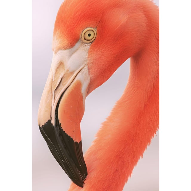 Flamingo Portrait Close-Up, Minimalist Wildlife Art Print, 24″ × 36″ For Sale